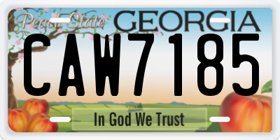 GA license plate CAW7185