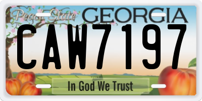 GA license plate CAW7197