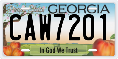 GA license plate CAW7201