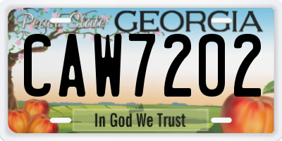GA license plate CAW7202