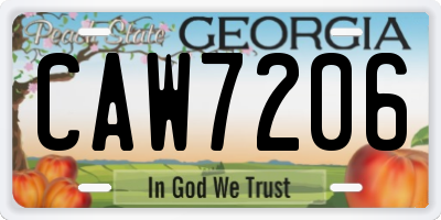 GA license plate CAW7206