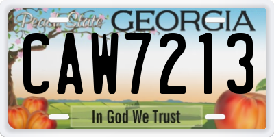 GA license plate CAW7213