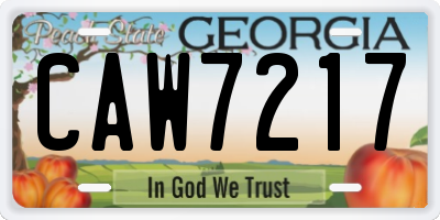 GA license plate CAW7217