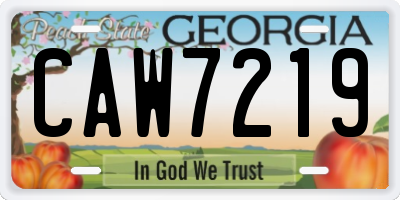 GA license plate CAW7219