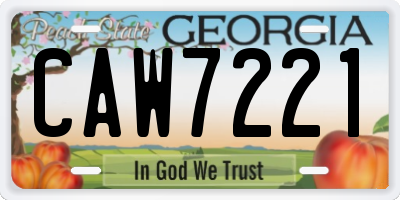 GA license plate CAW7221