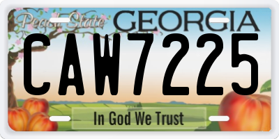 GA license plate CAW7225