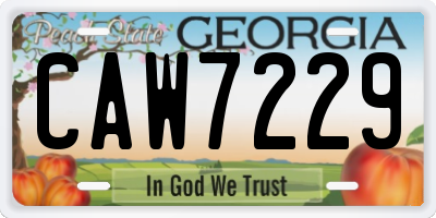 GA license plate CAW7229