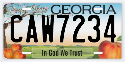 GA license plate CAW7234