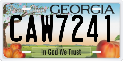 GA license plate CAW7241