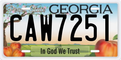 GA license plate CAW7251