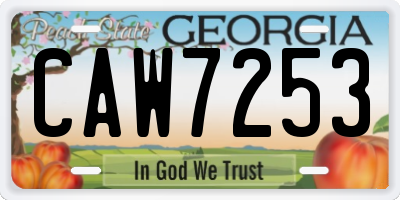 GA license plate CAW7253