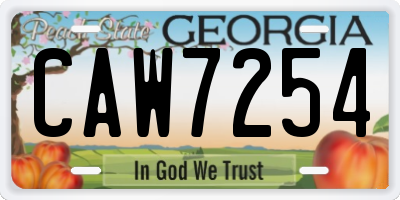 GA license plate CAW7254