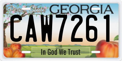 GA license plate CAW7261