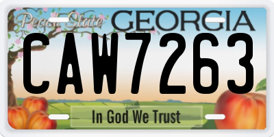 GA license plate CAW7263