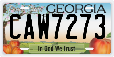 GA license plate CAW7273