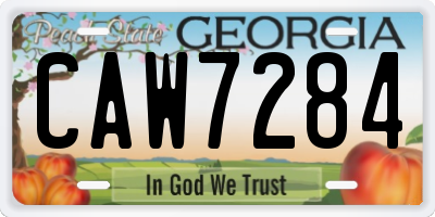 GA license plate CAW7284