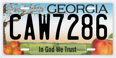 GA license plate CAW7286