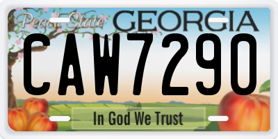GA license plate CAW7290