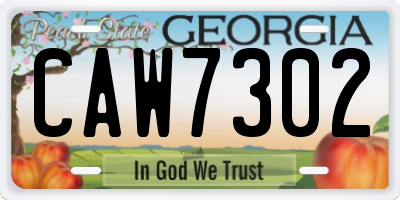 GA license plate CAW7302