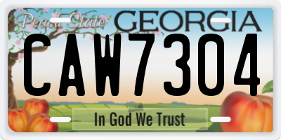 GA license plate CAW7304