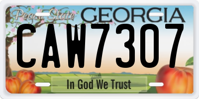 GA license plate CAW7307