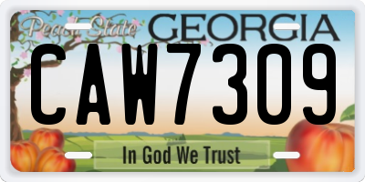 GA license plate CAW7309