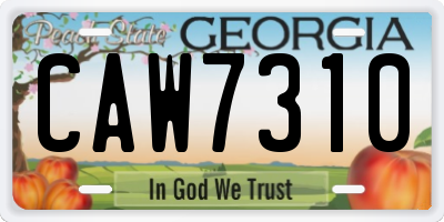 GA license plate CAW7310