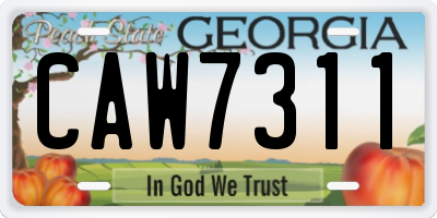 GA license plate CAW7311