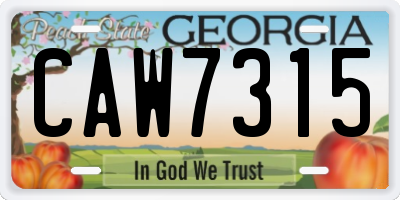 GA license plate CAW7315