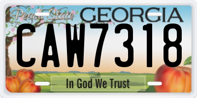 GA license plate CAW7318