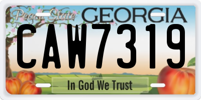 GA license plate CAW7319