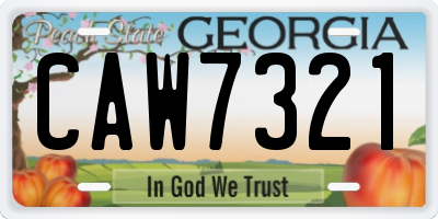 GA license plate CAW7321