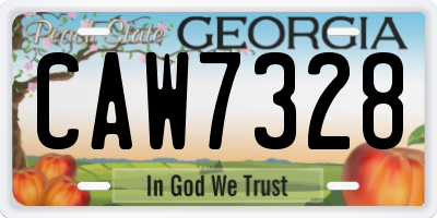 GA license plate CAW7328
