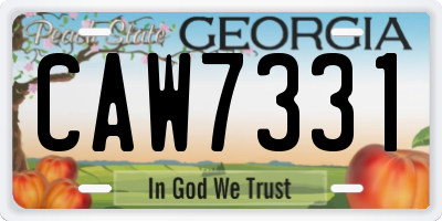 GA license plate CAW7331