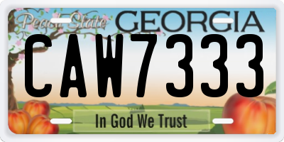 GA license plate CAW7333