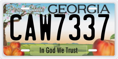 GA license plate CAW7337