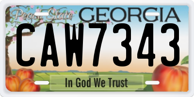 GA license plate CAW7343