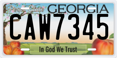 GA license plate CAW7345