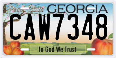 GA license plate CAW7348