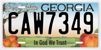 GA license plate CAW7349