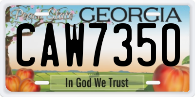 GA license plate CAW7350