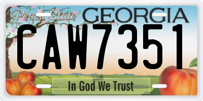 GA license plate CAW7351