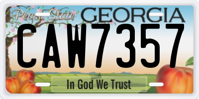 GA license plate CAW7357