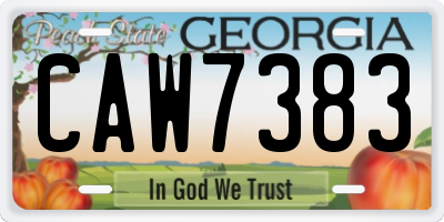 GA license plate CAW7383