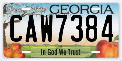 GA license plate CAW7384