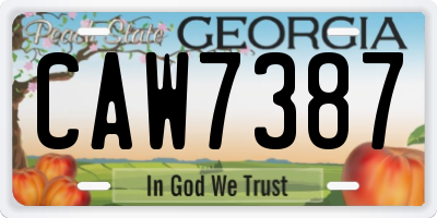 GA license plate CAW7387