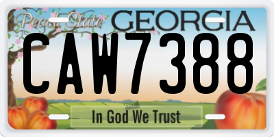 GA license plate CAW7388