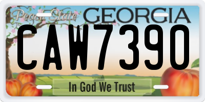 GA license plate CAW7390