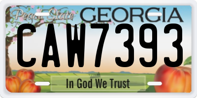 GA license plate CAW7393