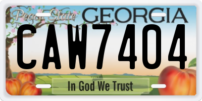 GA license plate CAW7404